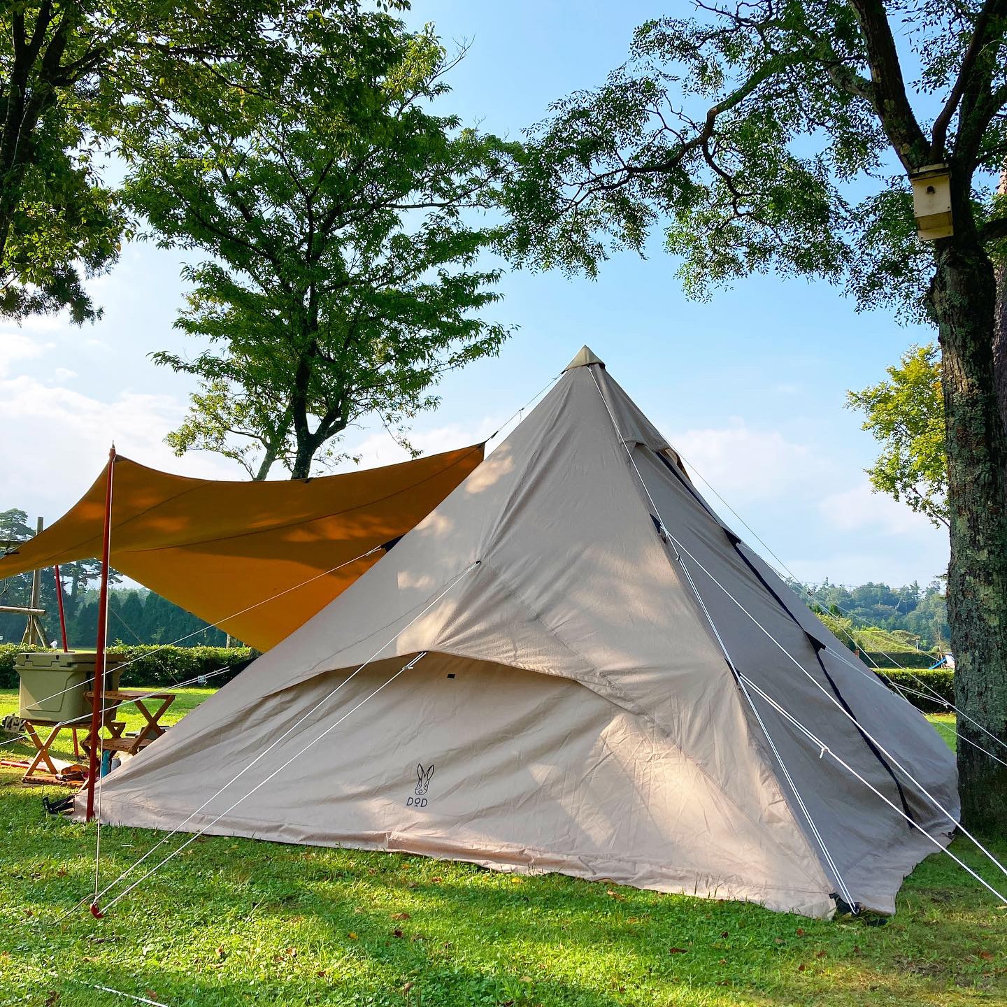 ファミリーキャンプ初心者 ５人家族におすすめテント dod ワンポールテントRX | akiyanblog趣味の事